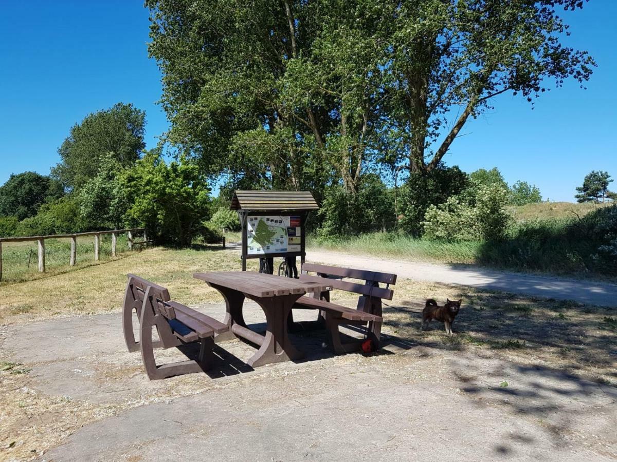 博恩Urlaub Bei Hauenstein公寓 外观 照片