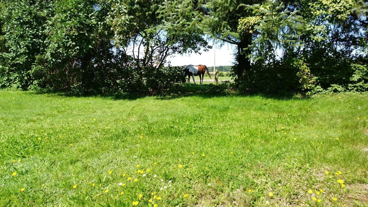 博恩Urlaub Bei Hauenstein公寓 外观 照片