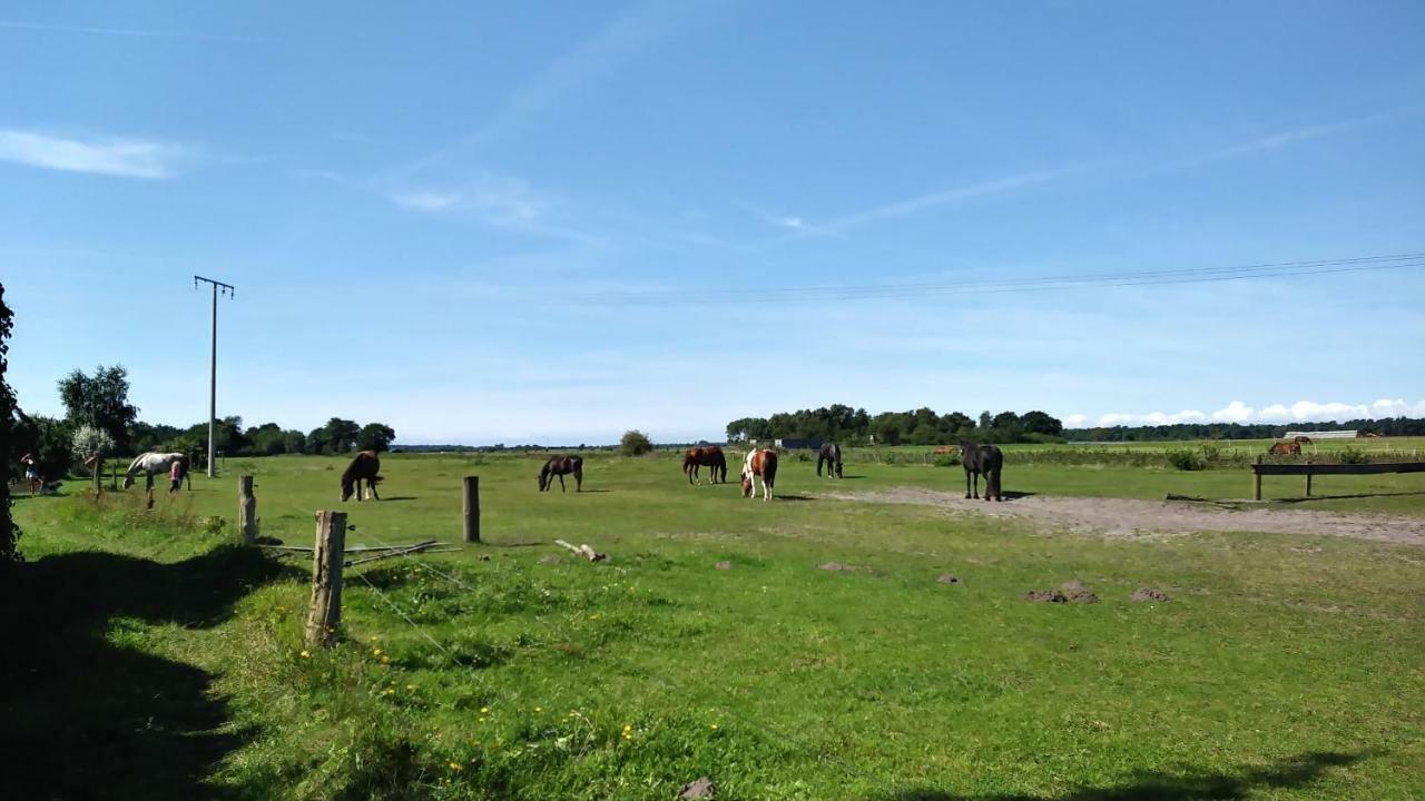 博恩Urlaub Bei Hauenstein公寓 外观 照片